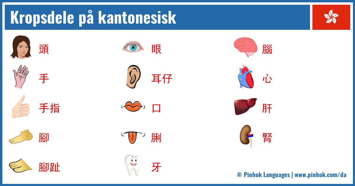 Kropsdele på kantonesisk