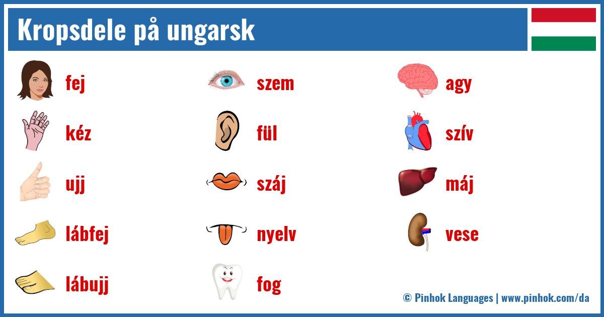 Kropsdele på ungarsk