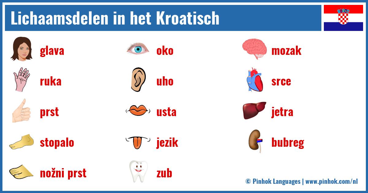 Lichaamsdelen in het Kroatisch