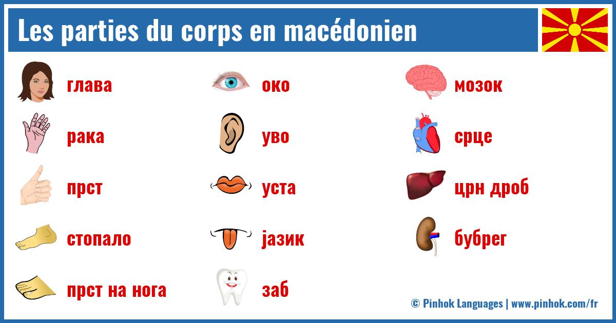 Les parties du corps en macédonien