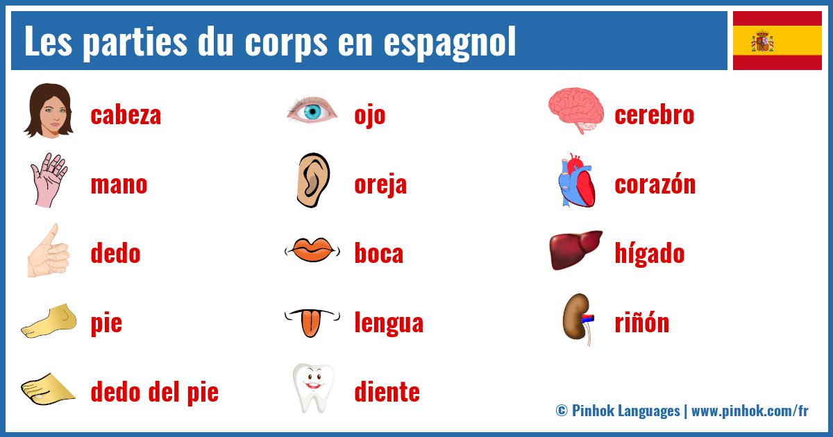 Les parties du corps en espagnol