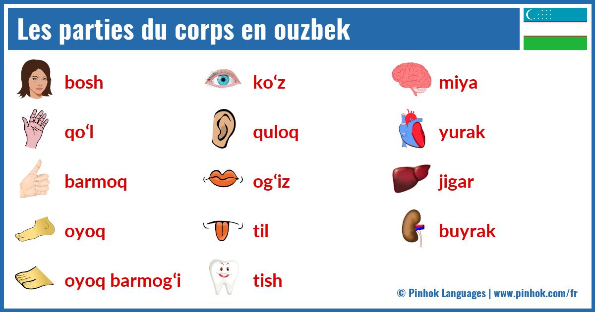 Les parties du corps en ouzbek