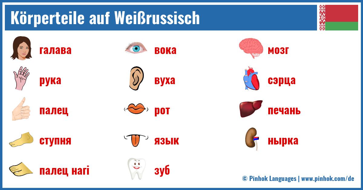 Körperteile auf Weißrussisch