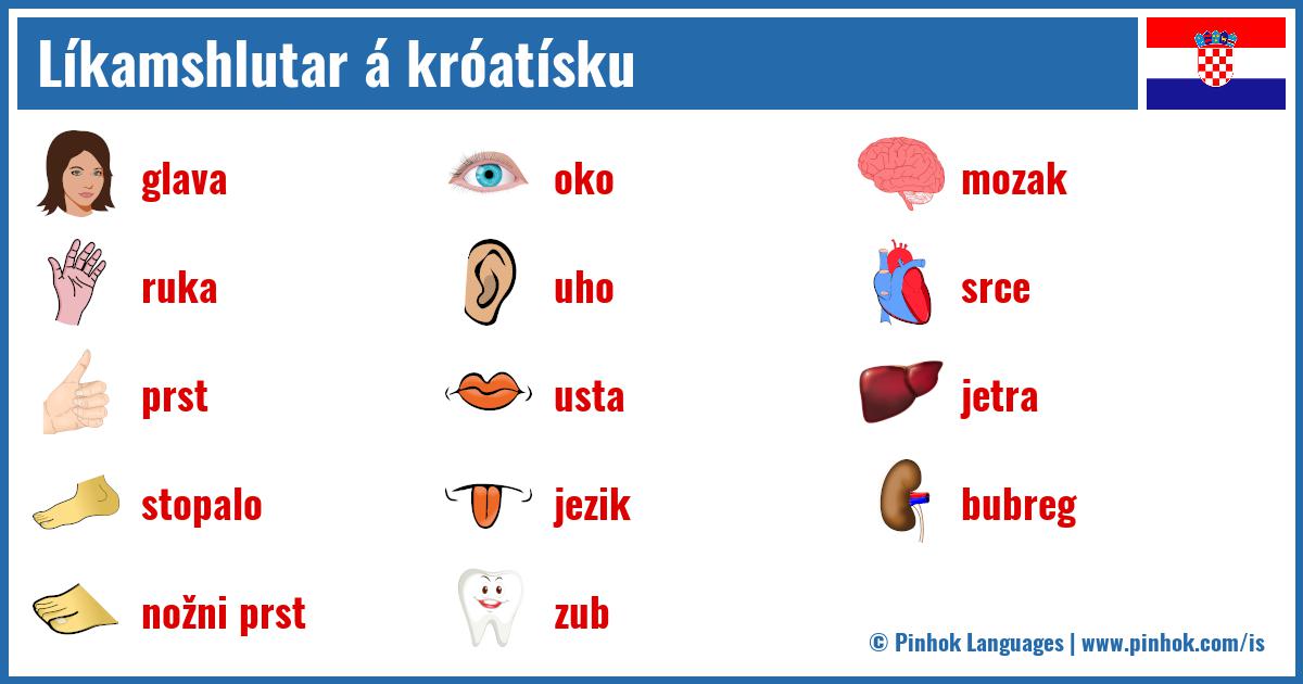 Líkamshlutar á króatísku