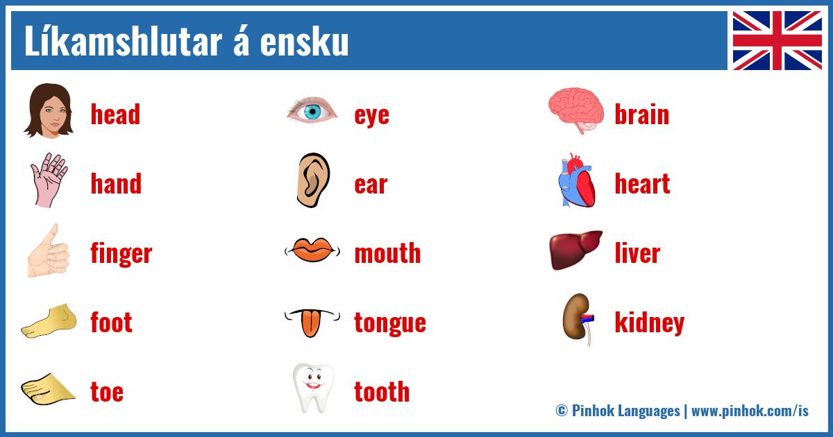 Líkamshlutar á ensku