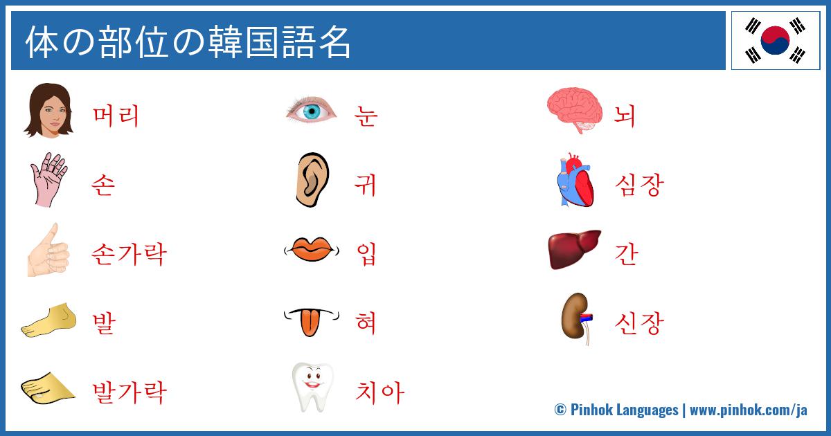 体の部位の韓国語名