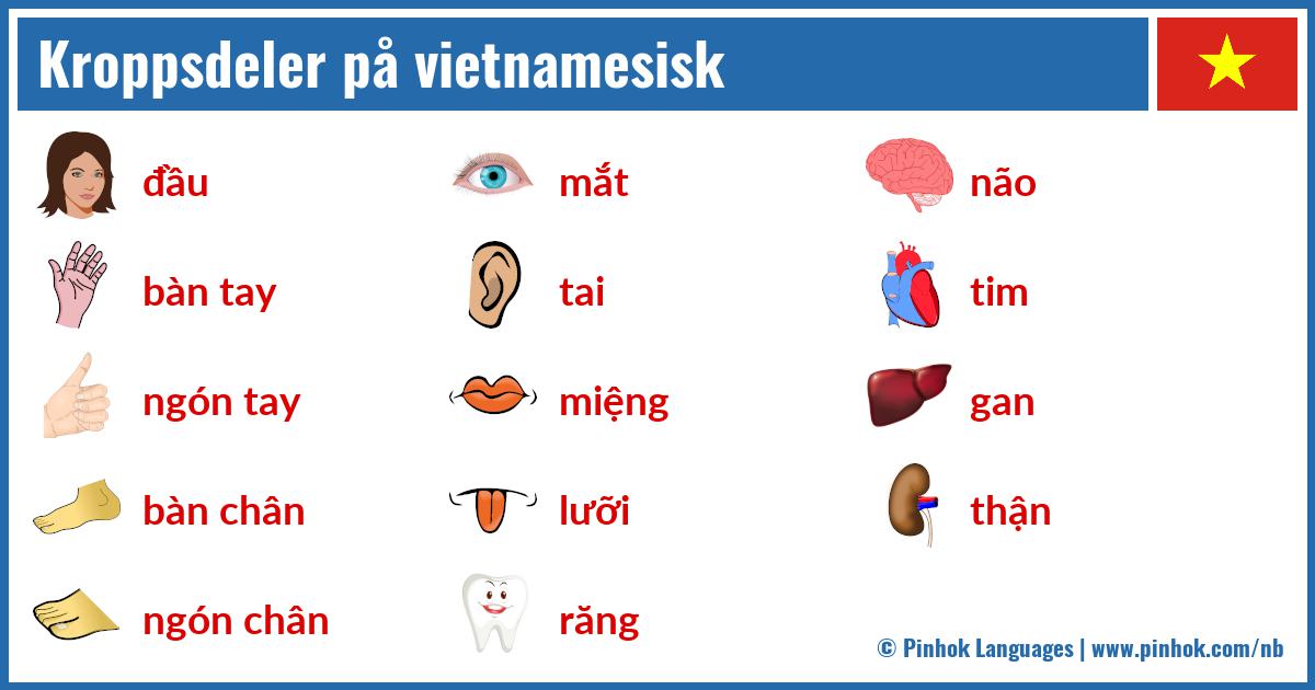 Kroppsdeler på vietnamesisk