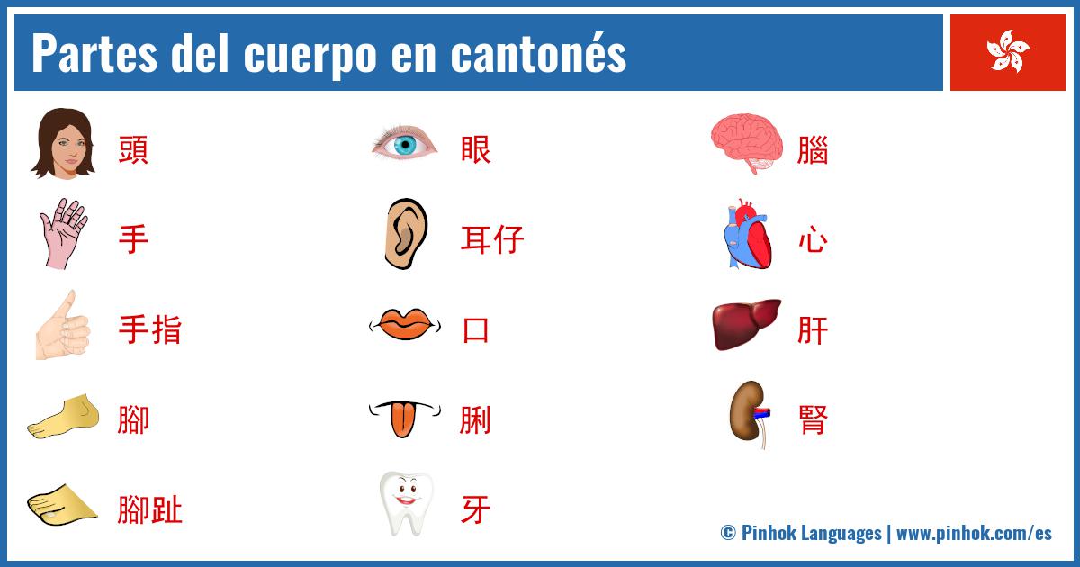 Partes del cuerpo en cantonés