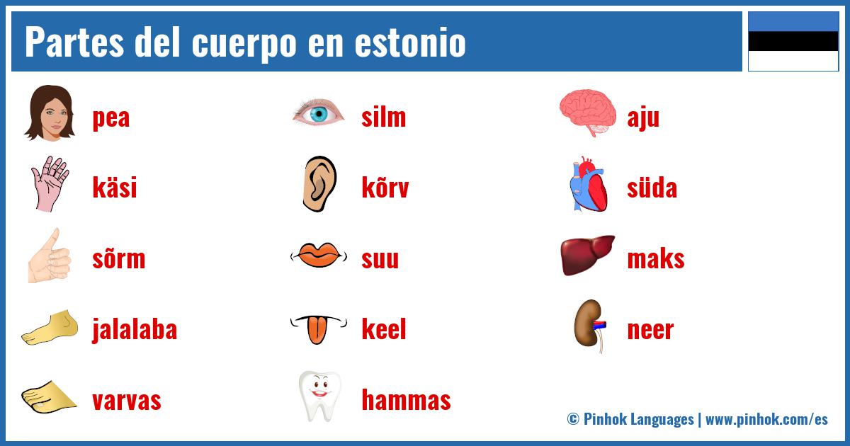 Partes del cuerpo en estonio