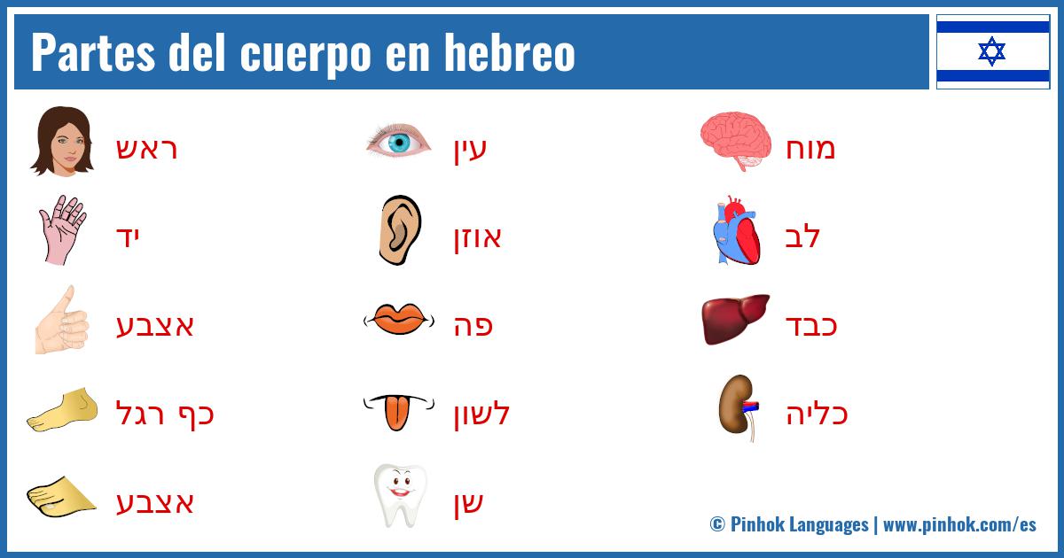 Partes del cuerpo en hebreo