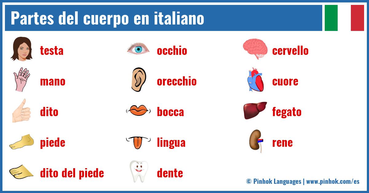 Partes del cuerpo en italiano